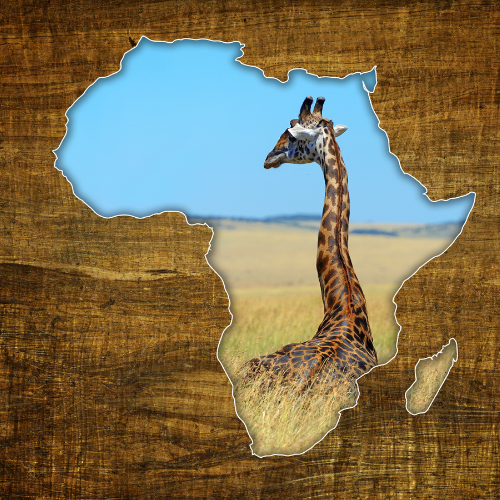 QUIZ | World Africa Day
